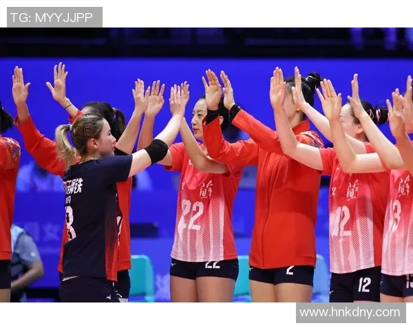 南京排球队技术争议引发热议球迷观点各异讨论激烈